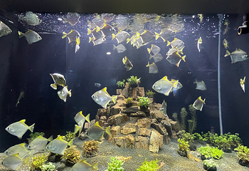 临汾海昌海洋探索馆第 68 张图片
