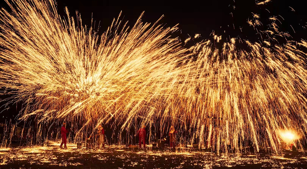 隋唐城遗址植物园
