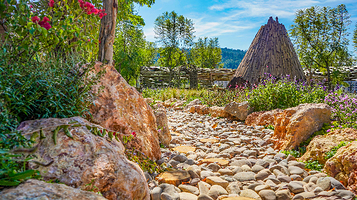 寒武纪小镇·好玩植物园