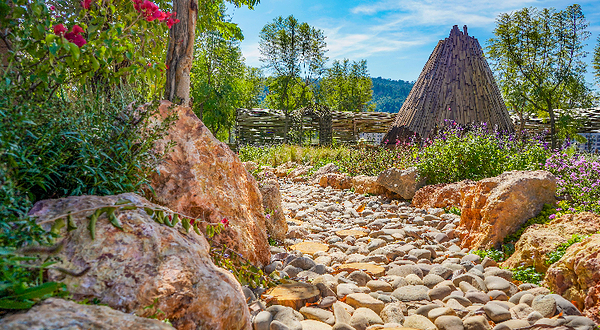 寒武纪小镇·好玩植物园
