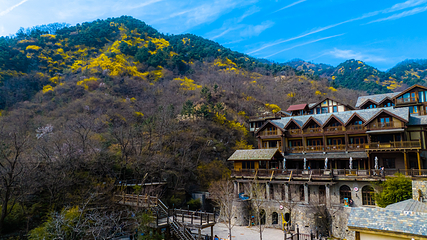 九如山休闲旅游度假区第 214 张图片
