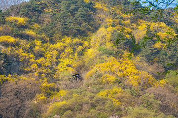 九如山休闲旅游度假区第 151 张图片