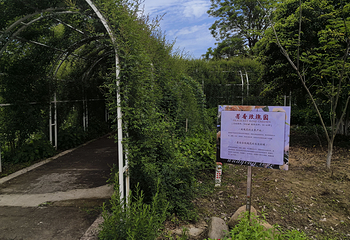 莫干6373阳光乐园第 19 张图片