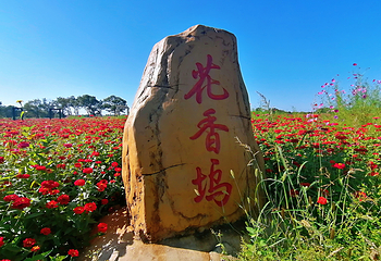 明月岛第 60 张图片
