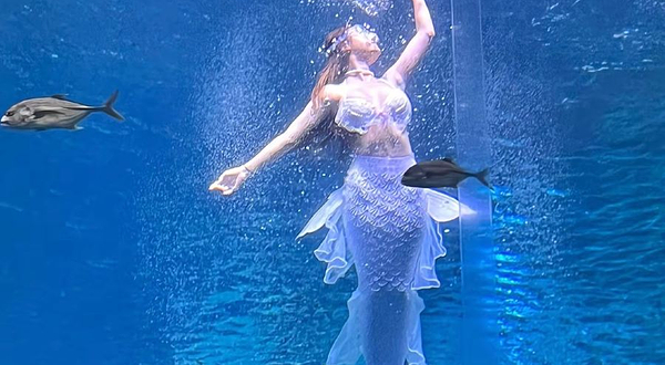 名仕海昌海洋公园