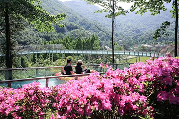 天府花溪谷第 17 张图片