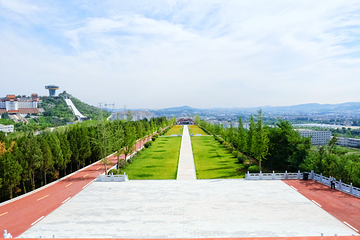 岜山中医药健康旅游示范基地第 40 张图片