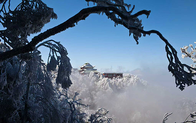 莽山旅游区国家森林公园第 32 张图片