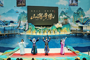 海合安天津极地海洋公园第 22 张图片