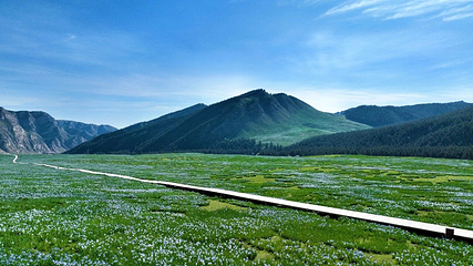 祁连山冰沟河景区第 107 张图片