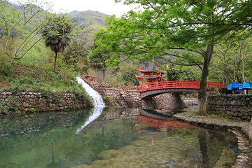 三峡龙隐谷生态旅游区第 29 张图片