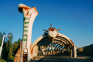白杨河大峡谷第 1 张图片