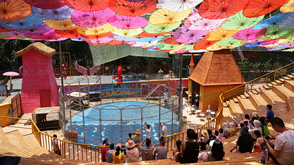 富溪大峡谷第 23 张图片