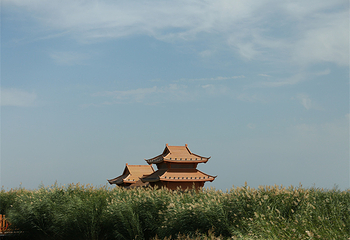 祁连苇海景区第 44 张图片