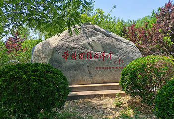白洋淀大口子旅游码头风景区第 14 张图片