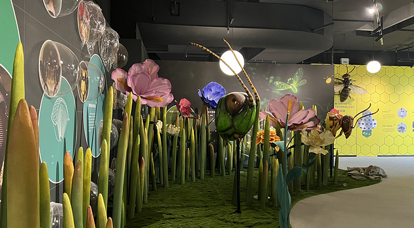 长安云秦岭昆虫博物馆