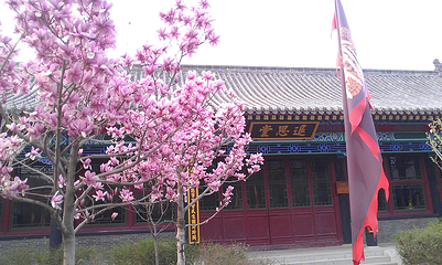 武定府衙景区第 145 张图片