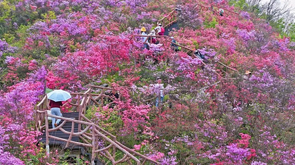 英山县天马寨风景区第 39 张图片