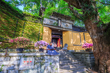 惠山古镇·寄畅园第 31 张图片