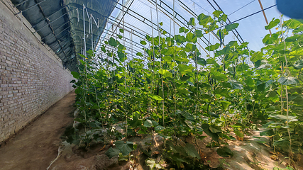 水高庄园第 60 张图片
