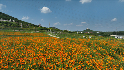 芳蕾玫瑰花乡第 10 张图片