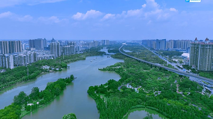 槐荫船说第 1 张图片