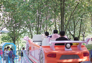 蓝田紫林旅游度假区第 23 张图片