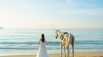 三亚海棠浪浪马术俱乐部