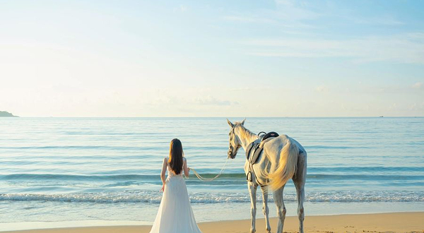 三亚海棠浪浪马术俱乐部