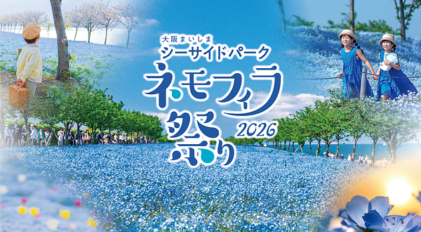 粉蝶花祭2026