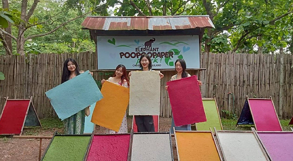 清迈大象噗噗造纸公园