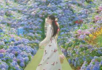 香遇百花园第 27 张图片