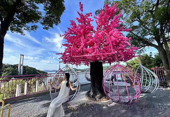 万绿湖•镜花缘游览区第 22 张图片