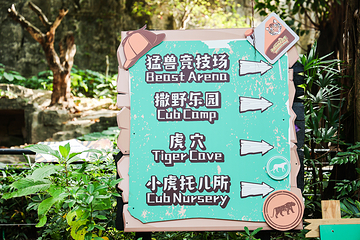 长隆野生动物世界第 73 张图片