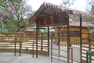 花海欢乐世界第 44 张图片
