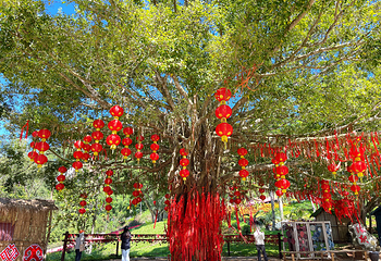 石花水洞第 31 张图片
