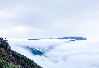 大华山蝶栖谷景区第 28 张图片