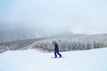 万龙滑雪场第 103 张图片