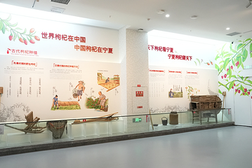 沃福百瑞宁夏枸杞馆第 17 张图片