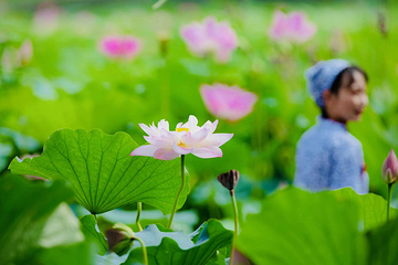 洪湖生态旅游区第 11 张图片
