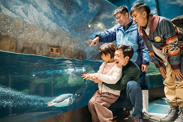 香港海洋公园第 7 张图片