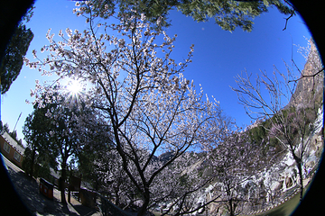 北京后花园(白虎涧)风景区第 12 张图片