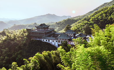 桃花江竹海景区第 17 张图片