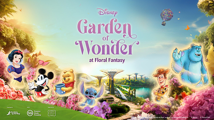 新加坡滨海湾花园第 31 张图片