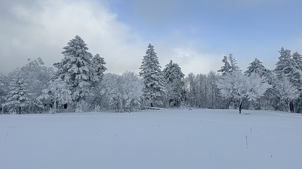 北大湖滑雪度假区第 38 张图片