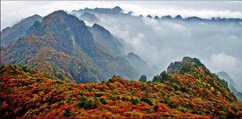 沁水历山景区第 35 张图片
