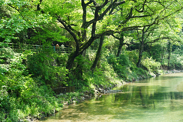 五溪山大峡谷第 6 张图片