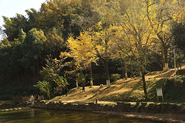 长兴八都岕景区第 60 张图片