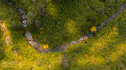 高黎贡山粉竹坝第 4 张图片