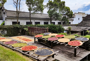江湾景区第 11 张图片